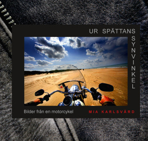 ur spättans synvinkel